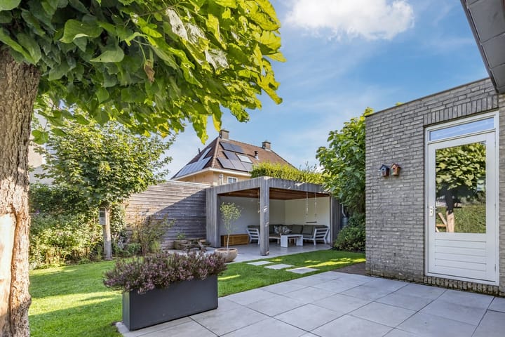 Photo 33 of Violier 17