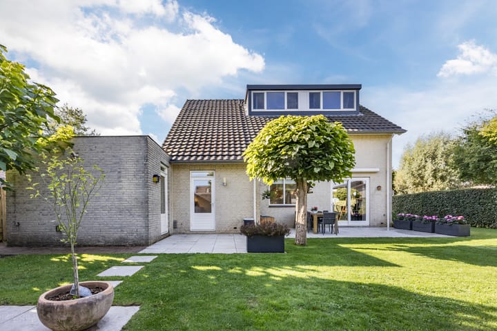 Photo 36 of Violier 17