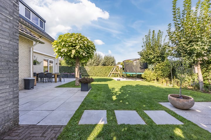 Photo 38 of Violier 17