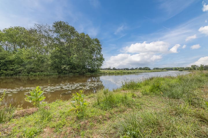 Photo 46 of Violier 17