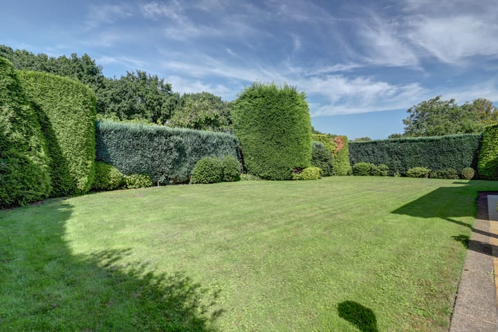 Foto 49 van Andeslaan 7