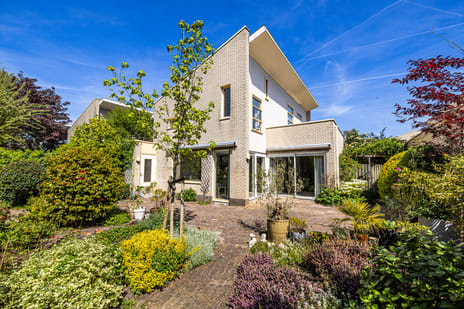 undefined main image