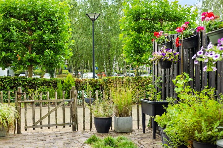 Foto 40 van Wuyvenhaerd 37