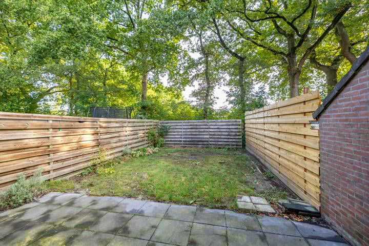 Foto 2 van Laagveld 25