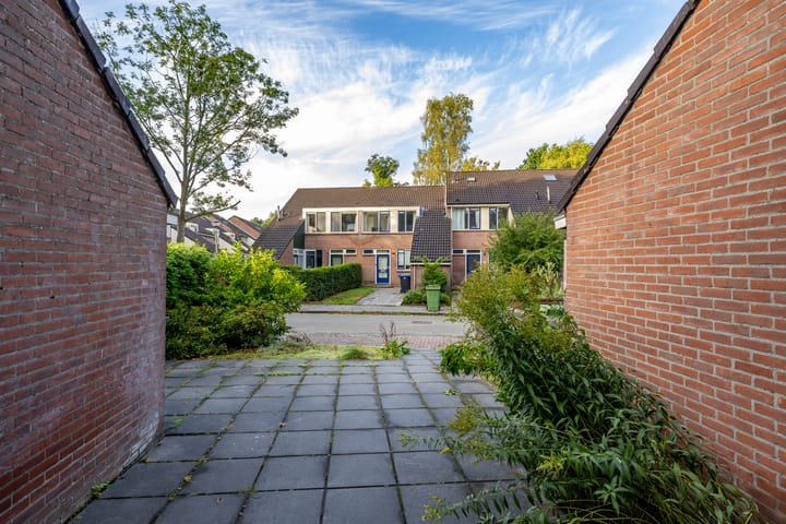 Foto 6 van Laagveld 25