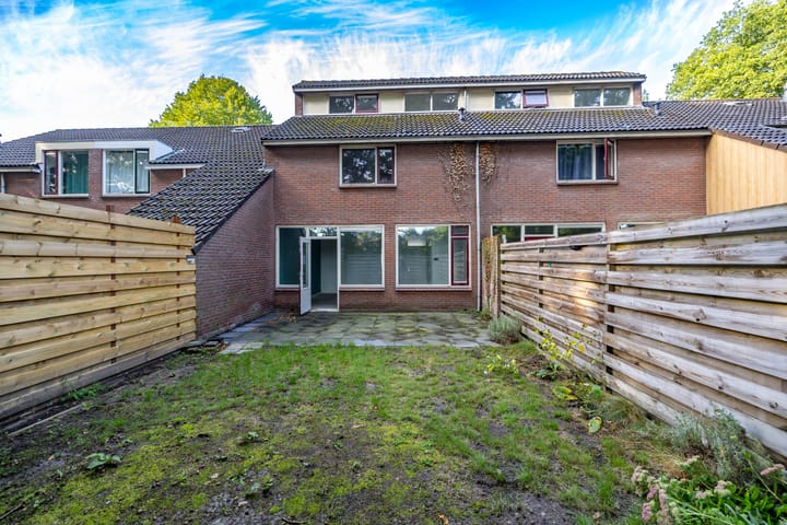 Foto 26 van Laagveld 25