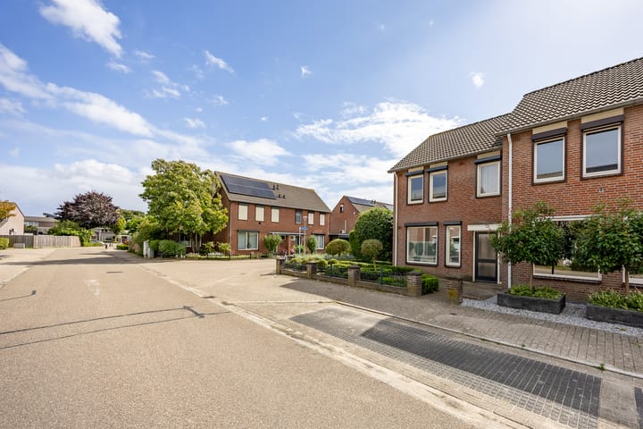 Foto 4 van Kamperfoelie 80