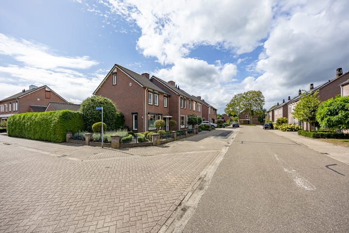 Photo 40 of Kamperfoelie 80