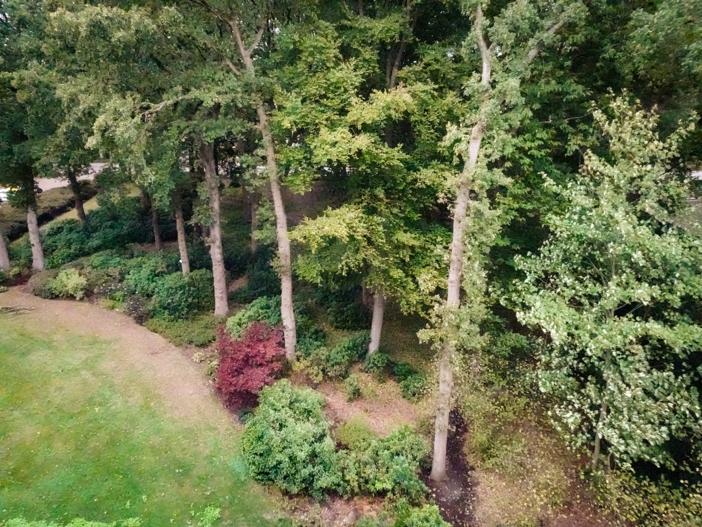 Photo 20 of Utrechtseweg 62-91