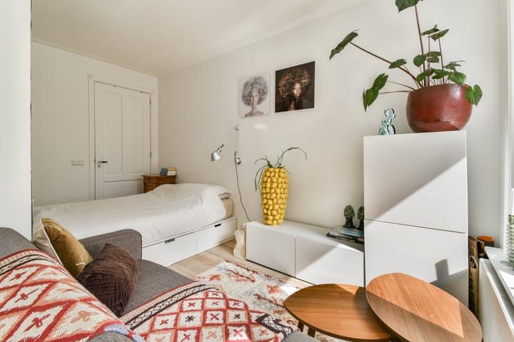 Foto 5 van Eerste Jan van der Heijdenstraat 122-C