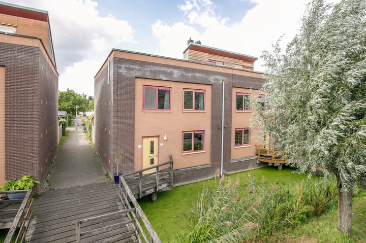 Vrouwenmantel 73 main image