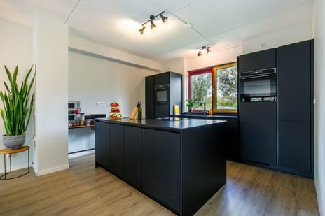 Vrouwenmantel 73 tertiary image