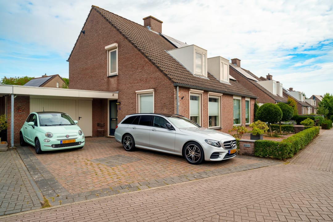 Foto 1 van Oeverzwaluw 55