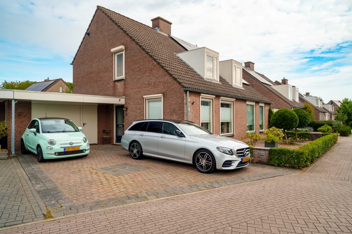 Oeverzwaluw 55 main image