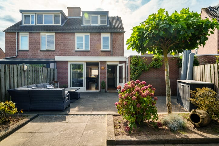 Foto 2 van Oeverzwaluw 55