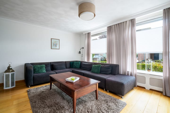 Foto 4 van Oeverzwaluw 55