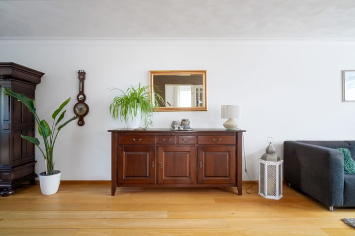 Foto 9 van Oeverzwaluw 55