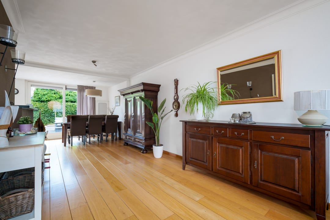 Foto 7 van Oeverzwaluw 55