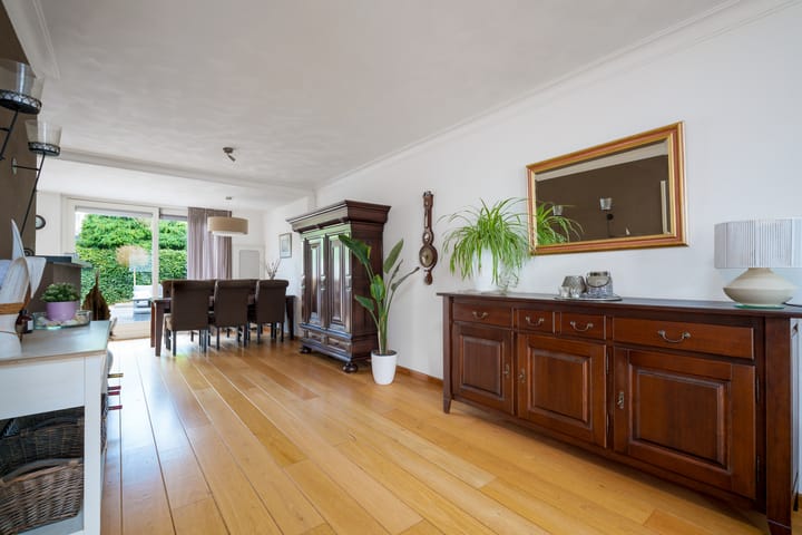 Foto 7 van Oeverzwaluw 55