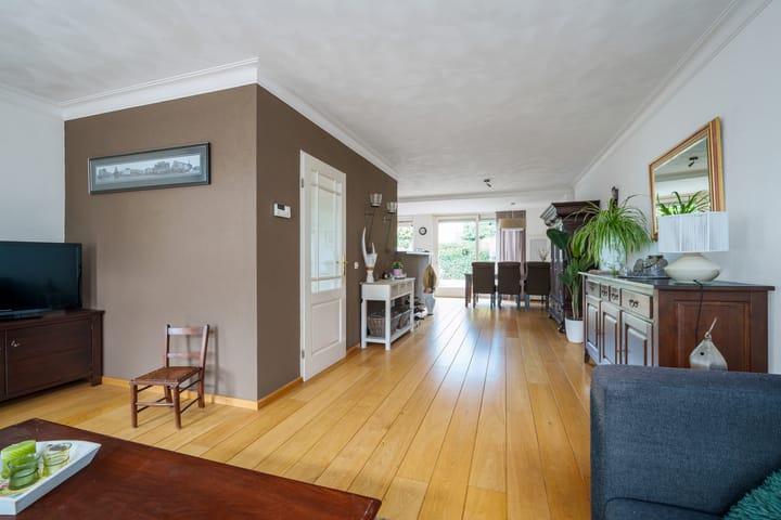 Foto 8 van Oeverzwaluw 55