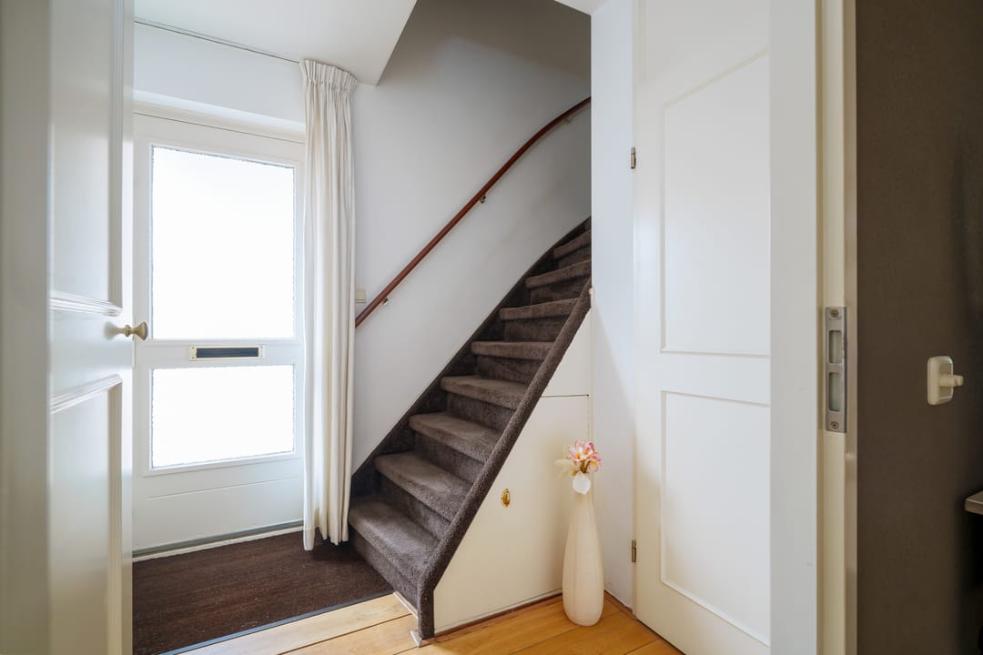 Foto 23 van Oeverzwaluw 55