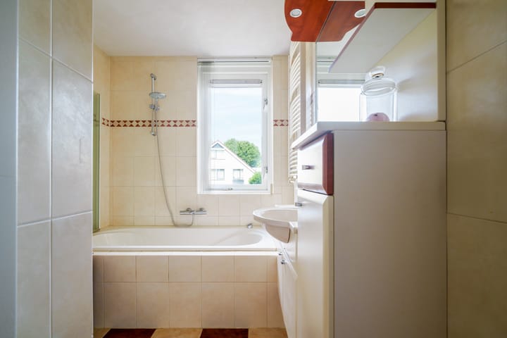 Foto 29 van Oeverzwaluw 55