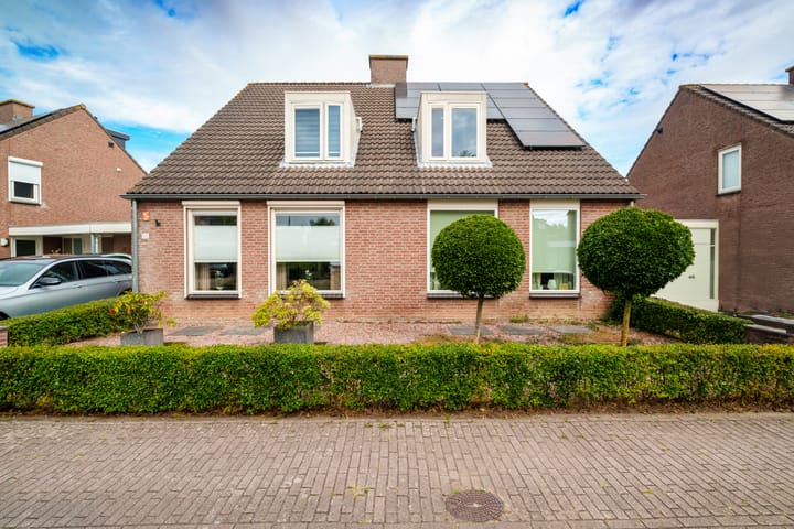 Foto 33 van Oeverzwaluw 55