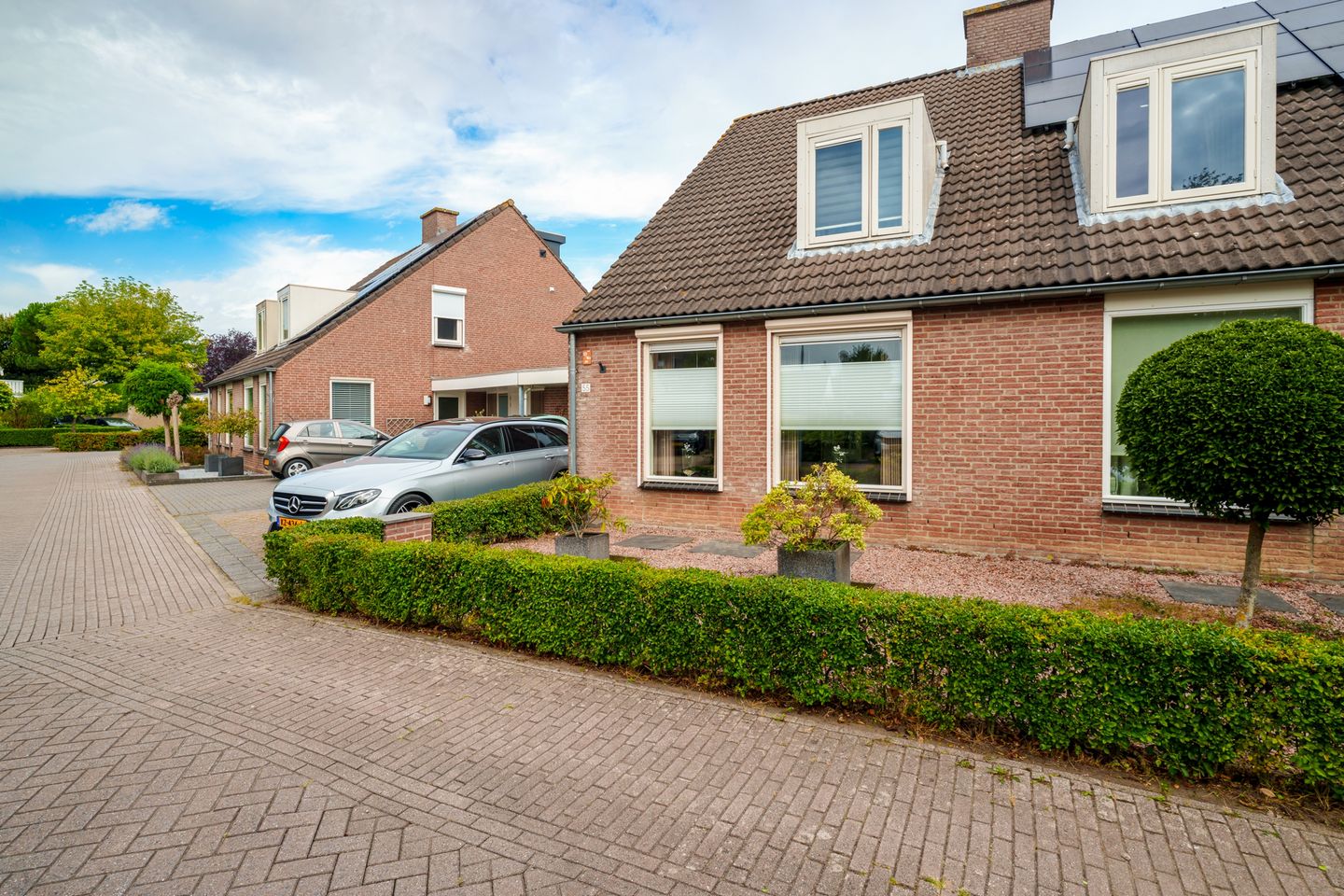 Foto 1 van Oeverzwaluw 55