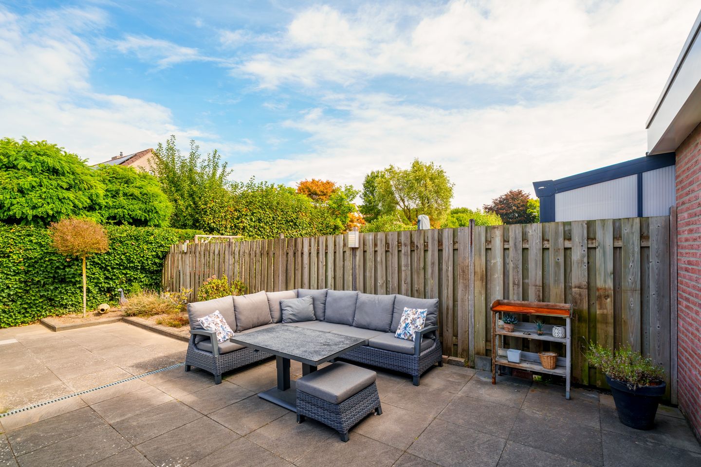 Foto 20 van Oeverzwaluw 55