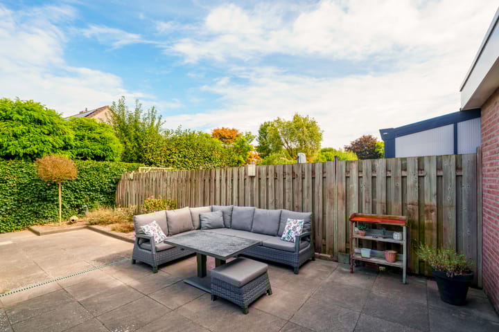 Foto 20 van Oeverzwaluw 55