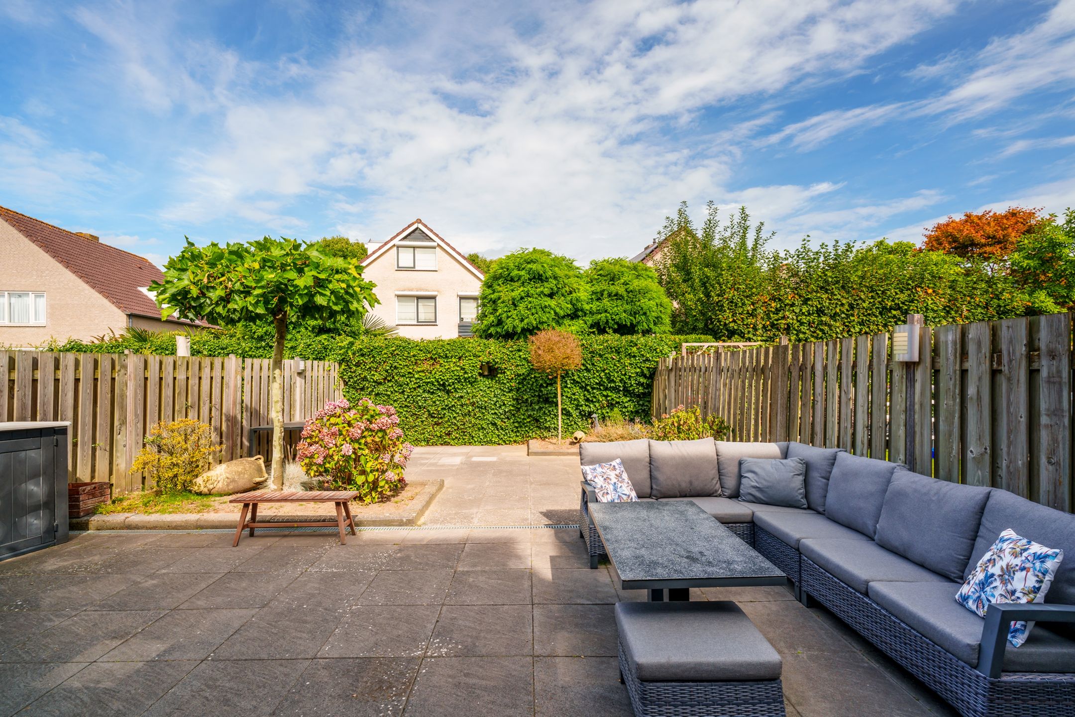 Foto 21 van Oeverzwaluw 55