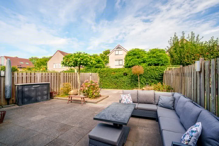 Foto 3 van Oeverzwaluw 55