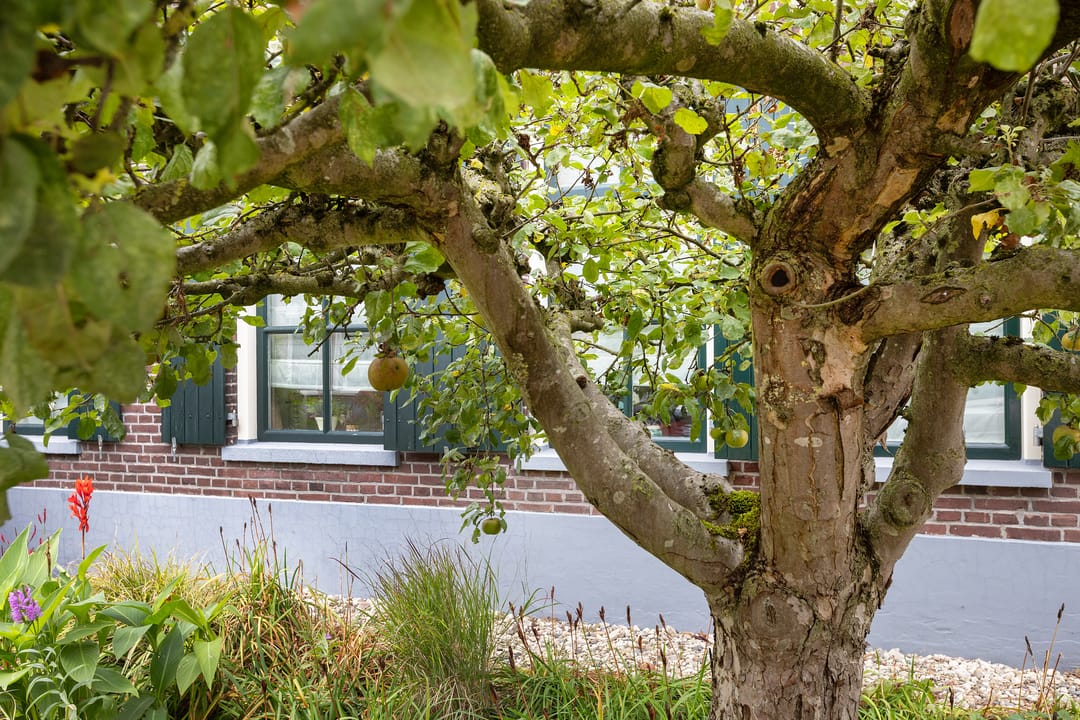 Foto 41 van Eibergseweg 7