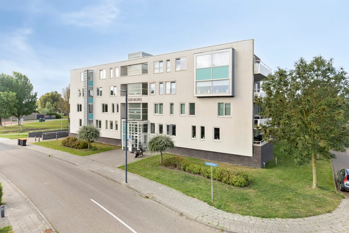 Photo 31 of Rosenburglaan 323