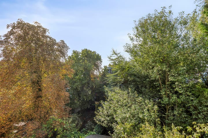 Foto 7 van Pastoor Bosstraat 51