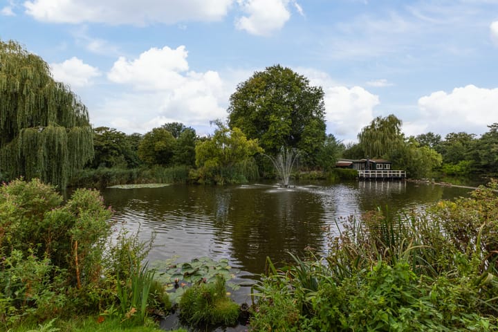 Photo 38 of Eikelaan 72