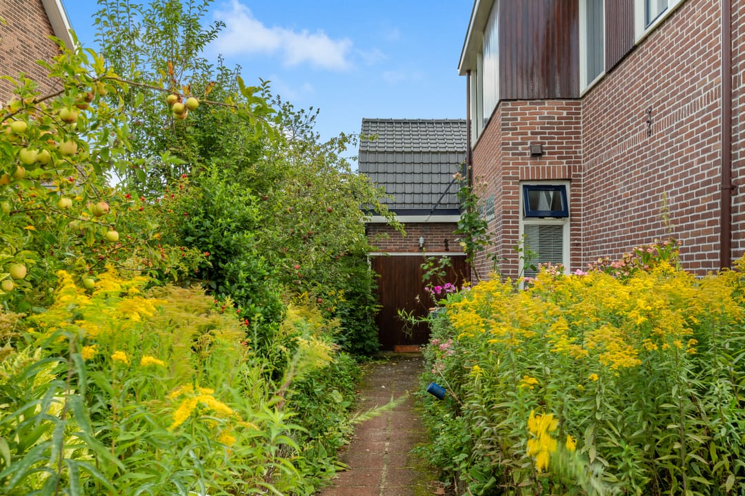 Photo 58 of Geelvinckstraat 33