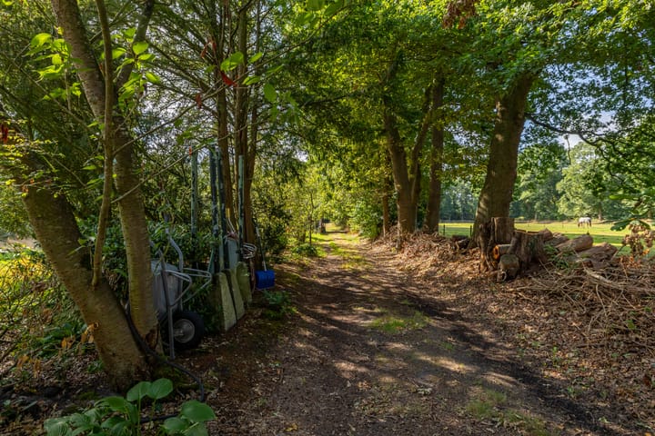 Photo 43 of Tynaarlosestraat 68