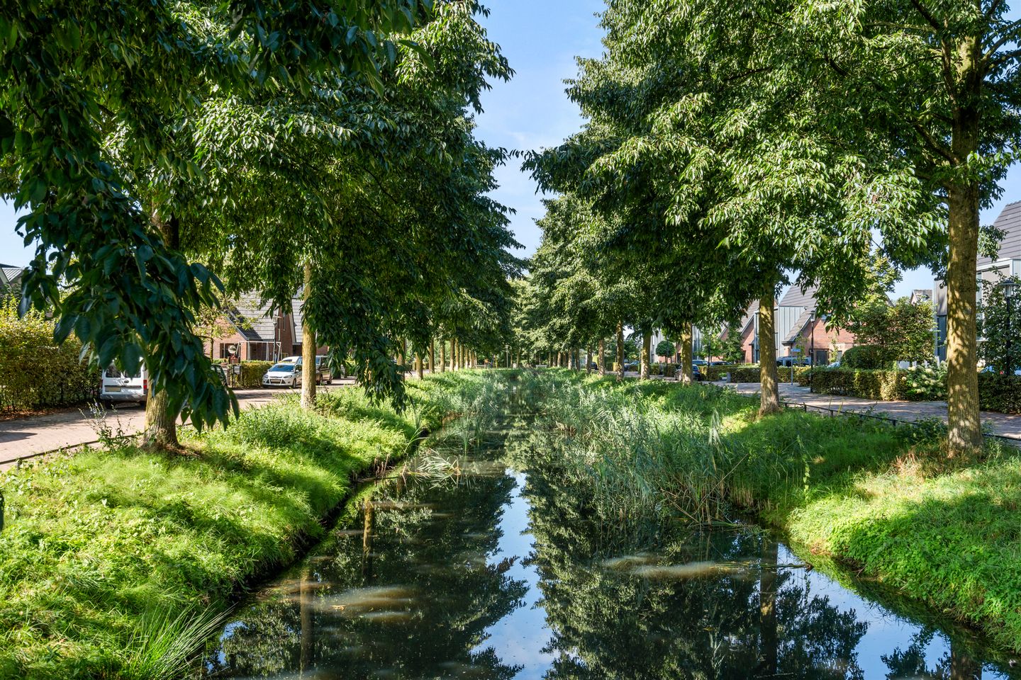 Foto 44 van Rietstraat 3