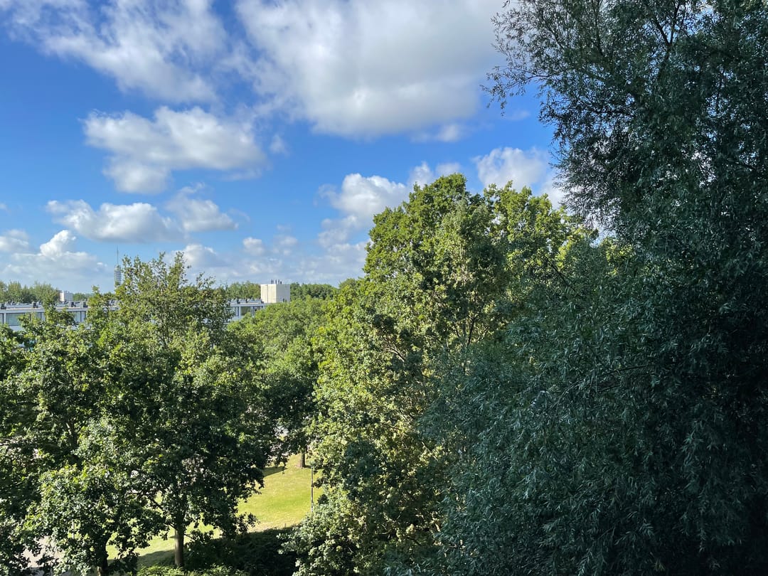 Photo 13 of Vliestroom 138