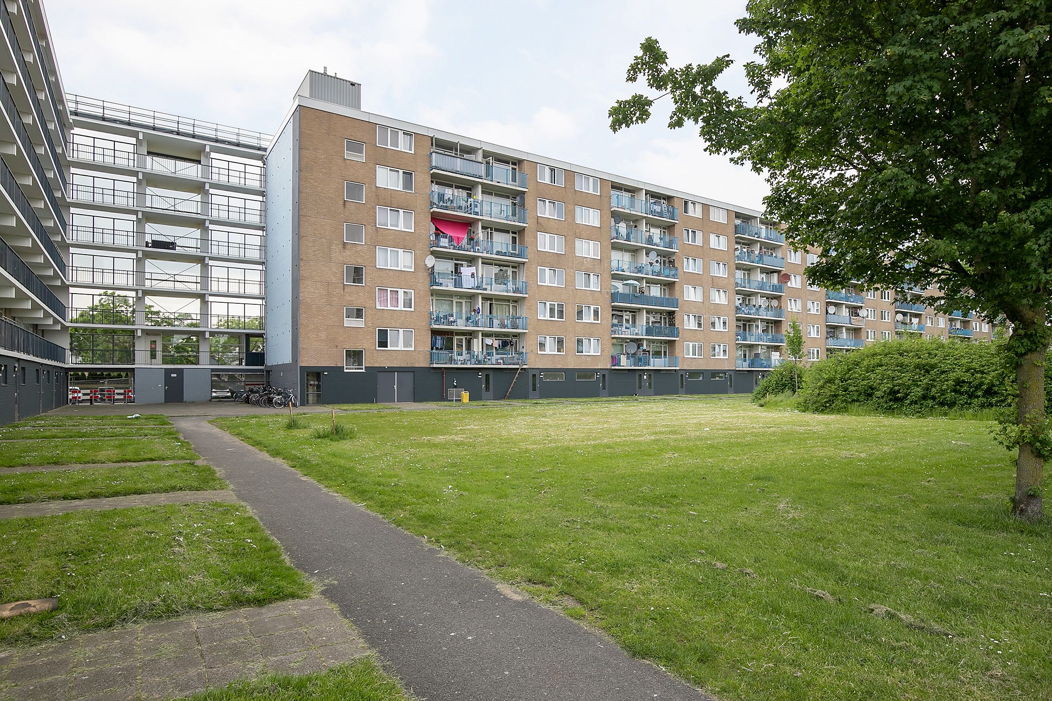 Venusstraat, 338, Alphen aan den Rijn, 2402XZ, Zuid-Holland, Nederland 338 
