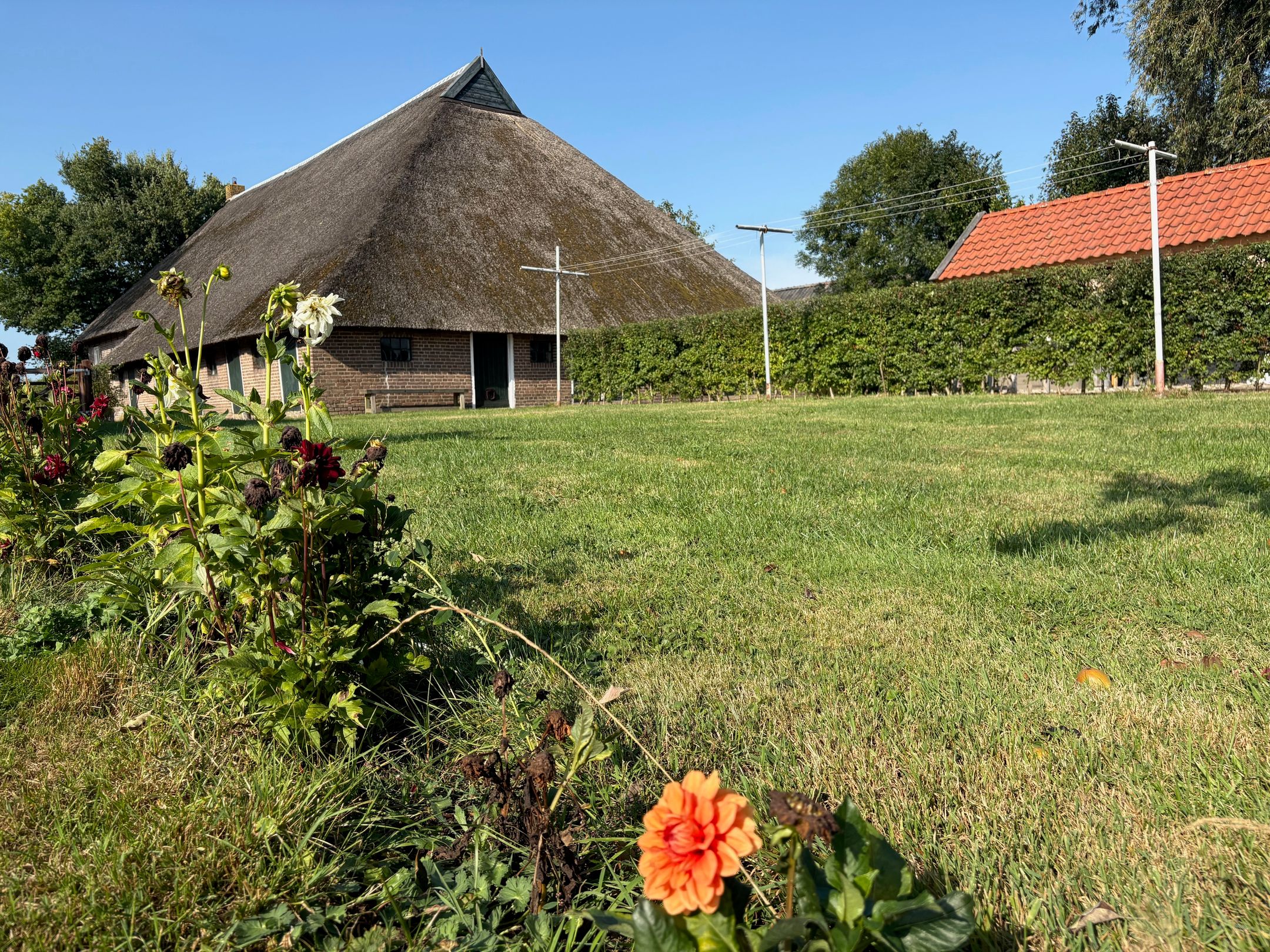 Photo 51 of Kolderveen 37