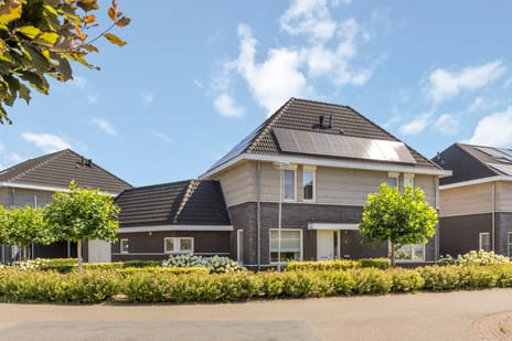 undefined main image