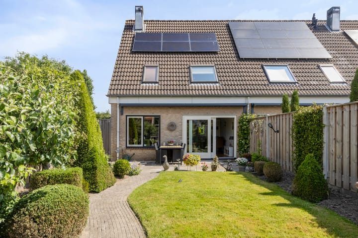 Foto 3 van Boezemvliet 31