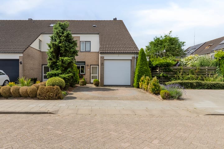 Foto 4 van Boezemvliet 31