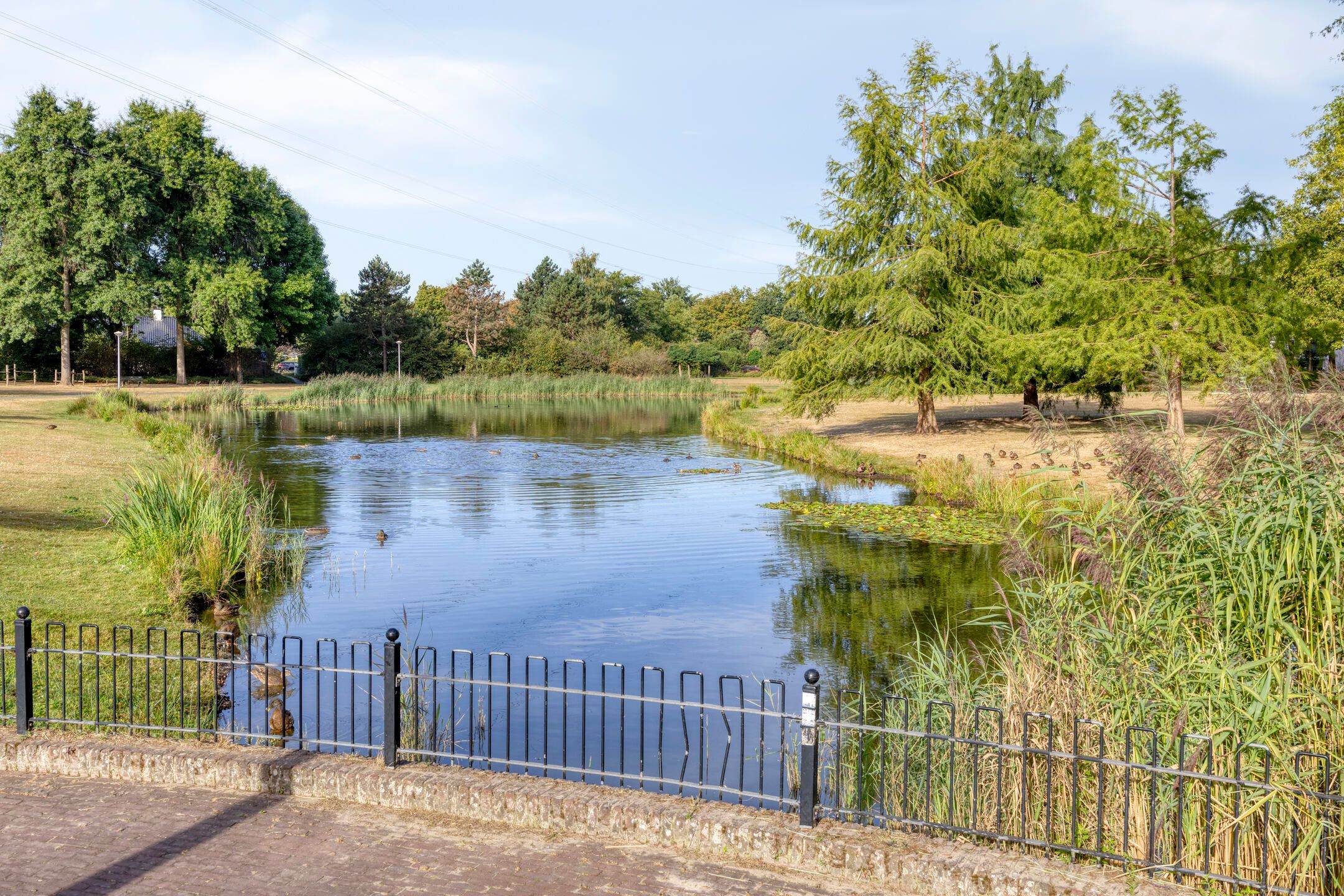 Foto 36 van Kapelaan H.G.M. Koopmansstraat 23