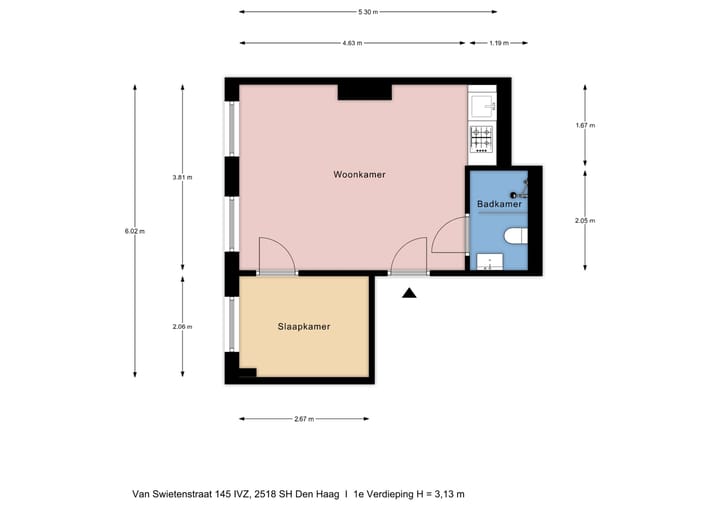 Foto 29 van Van Swietenstraat 145