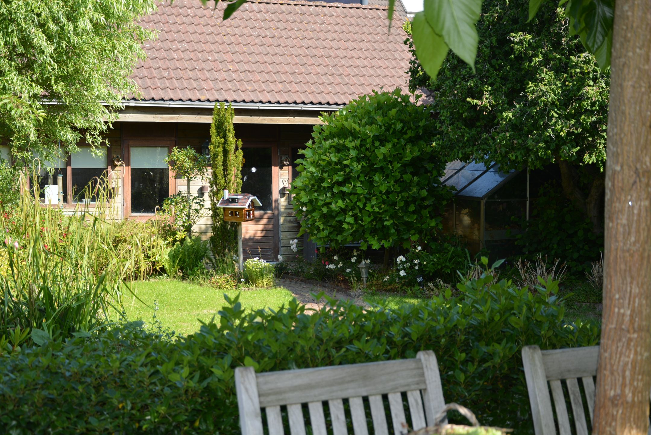 Foto 45 van Rijshornplein 3