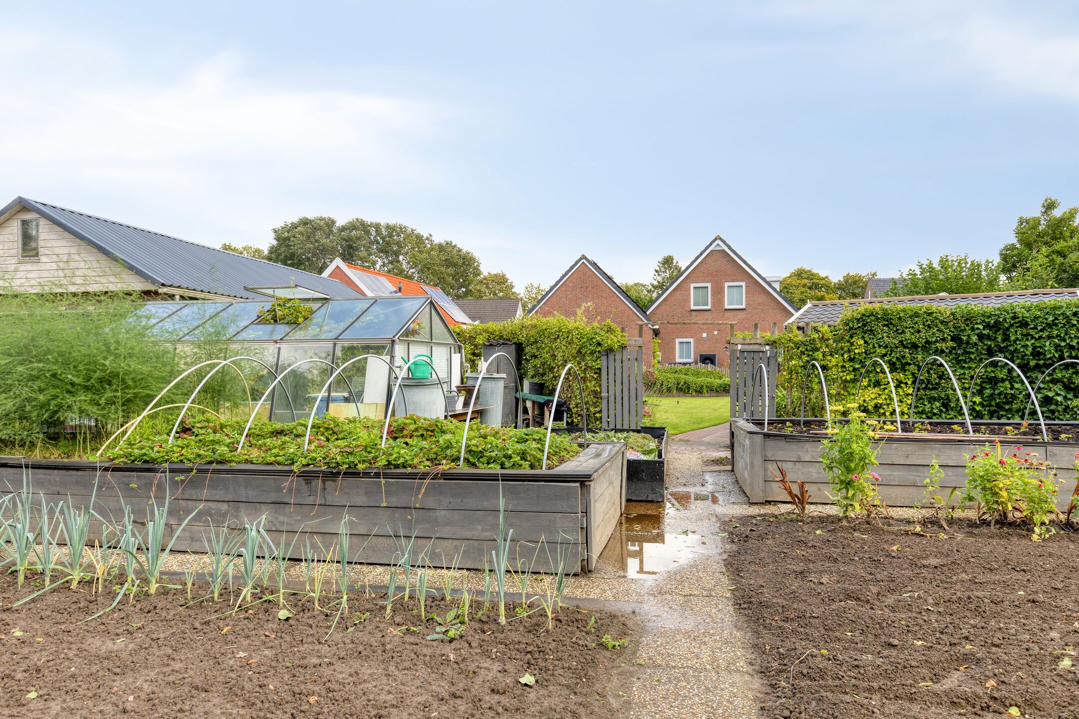 Foto 45 van Noorderlaan 24