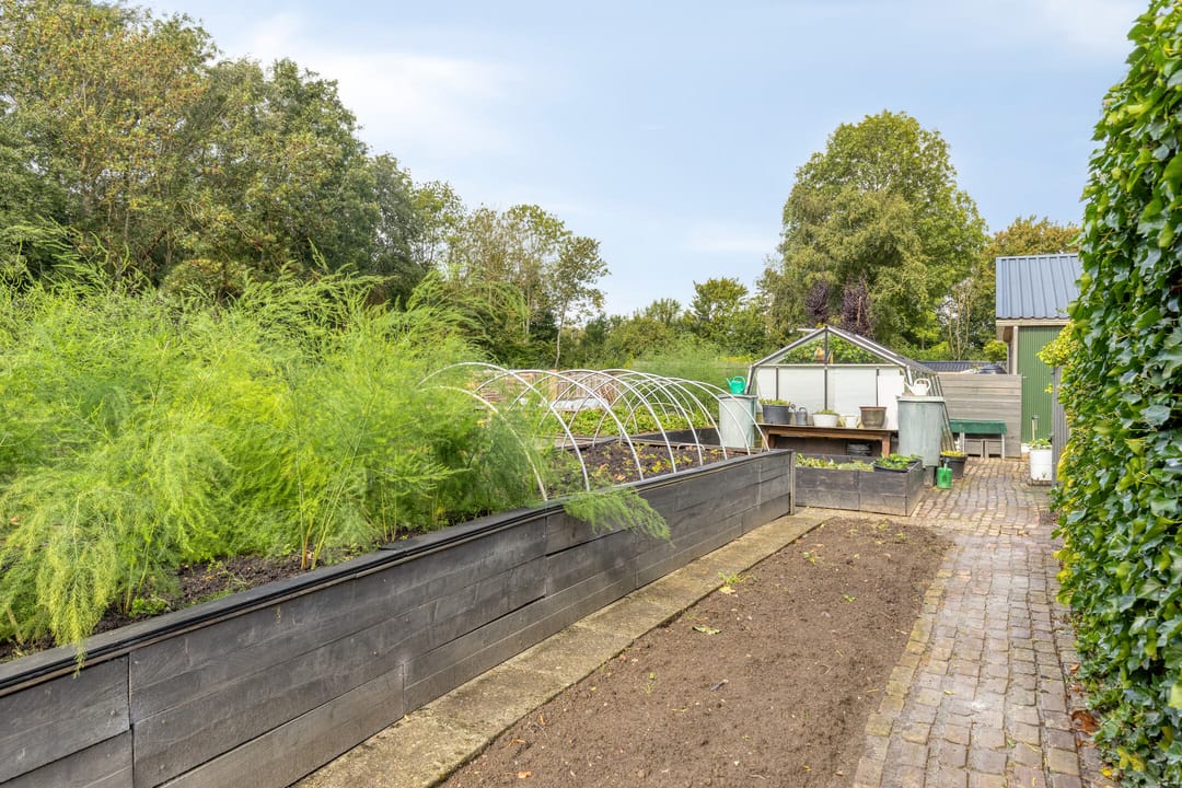 Foto 46 van Noorderlaan 24